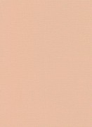 12143-23 шпалери Erismann колекція Casual Chic