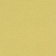 449839  Шпалери FLORENTINE 2 Rasch Німеччина